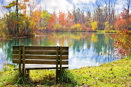 brown wooden bench on the grass field facing on body of water thumbnail