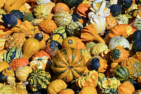 selective focus photo of squash thumbnail