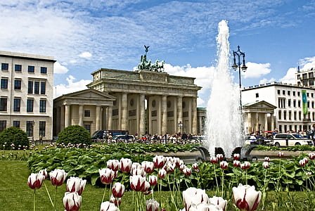 fountain near building surrounded with flowers at daytime thumbnail