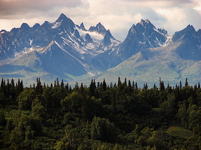 green forest and mountain photo thumbnail