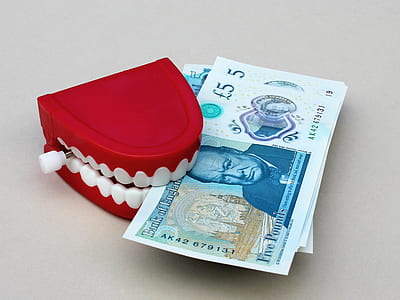 shopping, money, toy, finance thumbnail