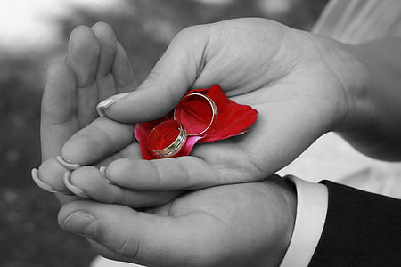 selective focus photography pair of wedding rings on woman's palm thumbnail