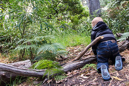 boy crawling on tree log under trees at daytime thumbnail