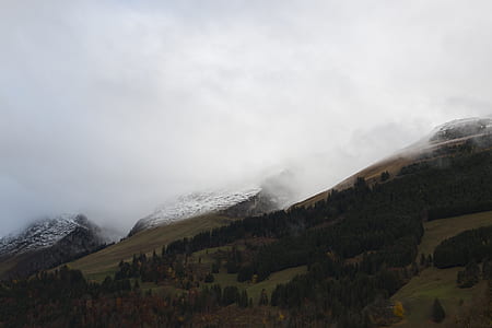 landscape photography of foggy mountain thumbnail