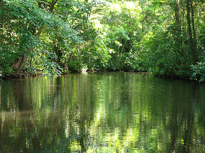 river and trees thumbnail