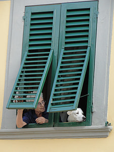 woman beside white dog looking through window during daytime thumbnail