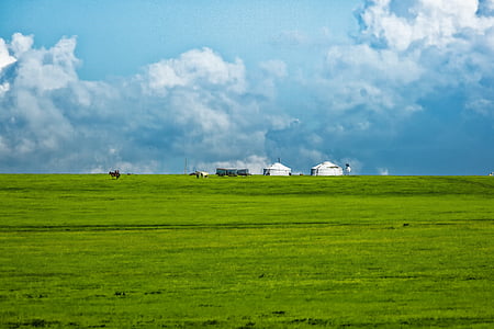 building on grass field thumbnail