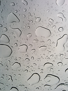 closeup photo of water dew thumbnail