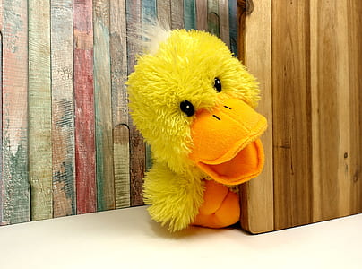 yellow duckling plush toy near brown wooden panel thumbnail