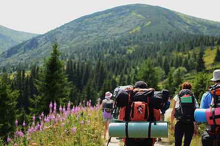 group of person hiking on mountain thumbnail