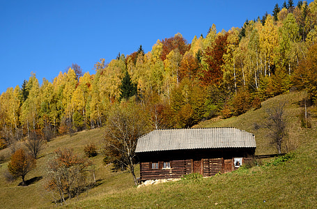 brown house on a mountainside thumbnail