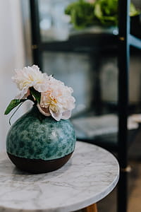 Peony flowers in vase thumbnail