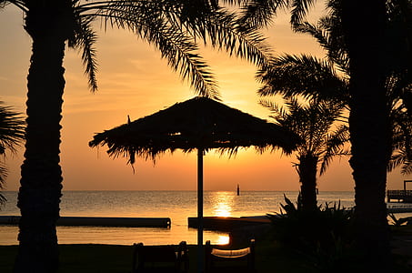 umbrella under golden hour thumbnail