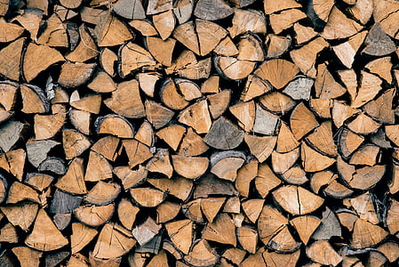 pile of brown wood log thumbnail
