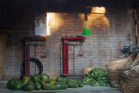 green vegetables near red platform scales inside building thumbnail