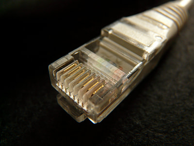 closeup photo of gray RJ45 connector thumbnail