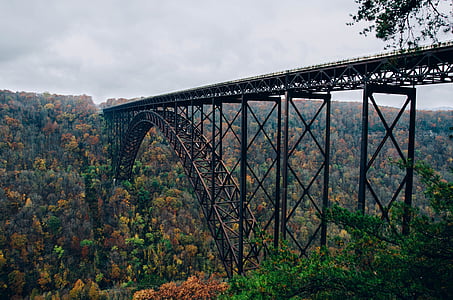 green and brown trees under black and brown metal bridge thumbnail
