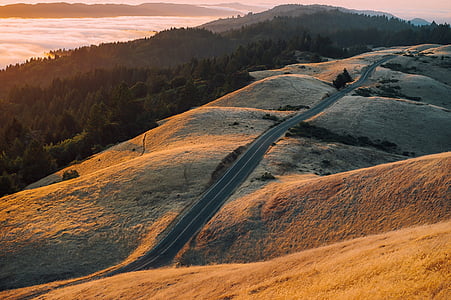 empty road on hill overlooking trees and body of water thumbnail