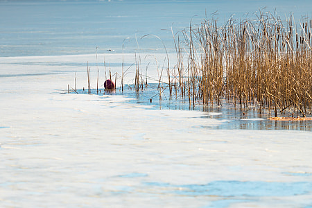 body of water view during daytime thumbnail