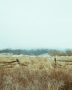 photo of hay field thumbnail