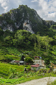 mountain forest under cloudy sky thumbnail