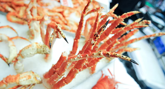 selective focus of orange crabs thumbnail