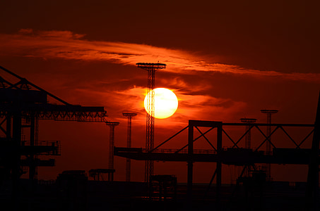 silhouette cranes during golden hour thumbnail