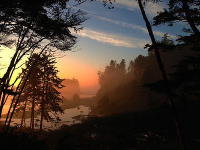 Sunset landscape at Olympic National Park, Washington thumbnail