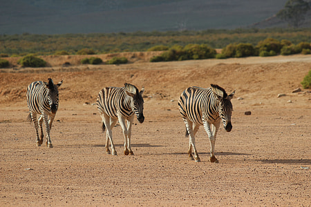 South Africa, Aquila Gaming Resort thumbnail