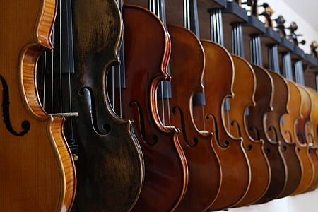violin lot thumbnail