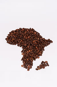coffee beans on white textile thumbnail