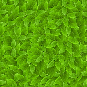 green leaf digital wallpaper thumbnail
