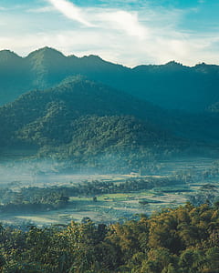 forest covered mountain thumbnail