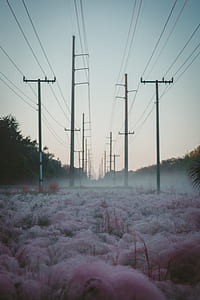 black utility post lot thumbnail
