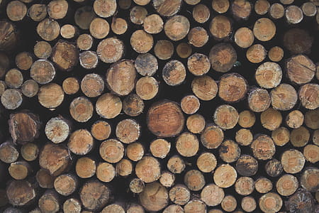 Stack of Firewood thumbnail