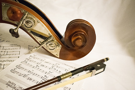 shallow focus photography of brown string instrument thumbnail