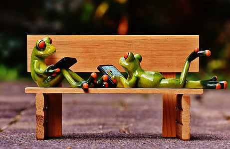 two green frog holding smartphone on brown wooden bench figure taken at daytime thumbnail