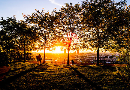 silhouette photography of people in a park standing near trees with view of city below during golden hour thumbnail