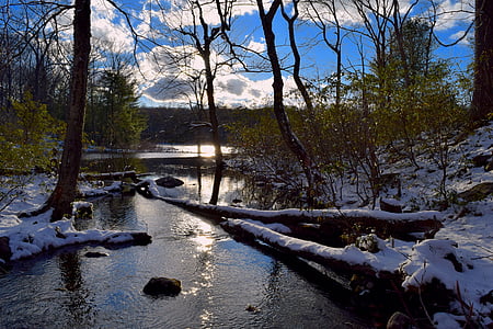 river near trees during daytime thumbnail