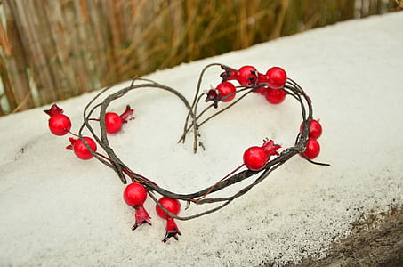 round red fruits thumbnail