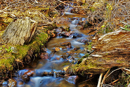 Water Stream on Creeks thumbnail