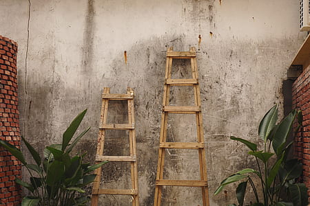 black brown wooden ladders thumbnail