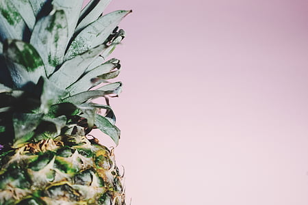 shallow focus photo of pineapple thumbnail