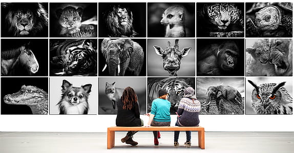 three person sitting on brown wooden bench thumbnail