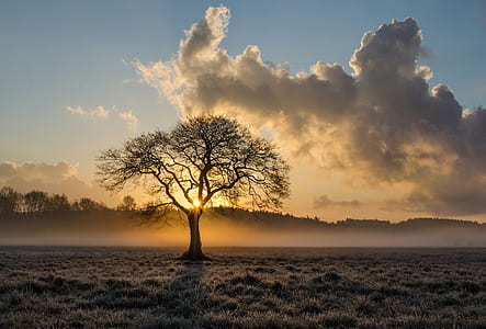 light, landscape, nature, sky thumbnail