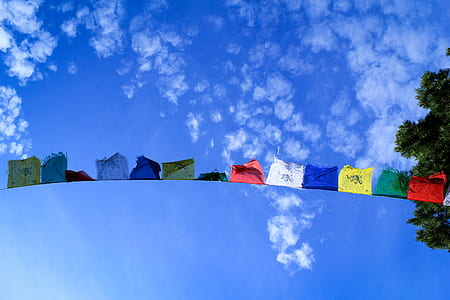 low angle photography buntings under blue sky thumbnail