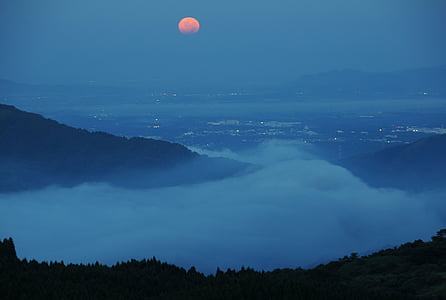 trees near foggy area under clear night sky thumbnail
