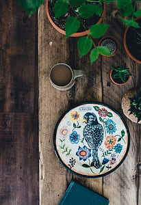 bird painting on table thumbnail