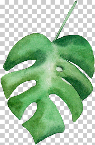 Leaf Watercolor painting, Watercolor leaves, green leaf drawing PNG clipart
