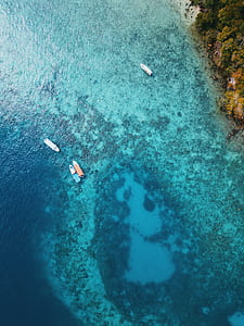 four boats on body of water near island aerial photography thumbnail